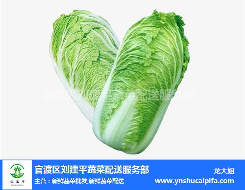 刘建平蔬菜配送 上海有机新鲜蔬菜价格 上海有机新鲜蔬菜